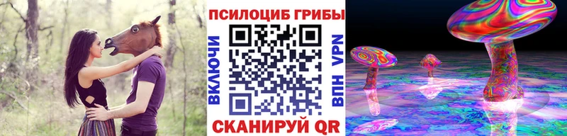 что такое   Ардон  Галлюциногенные грибы GOLDEN TEACHER 