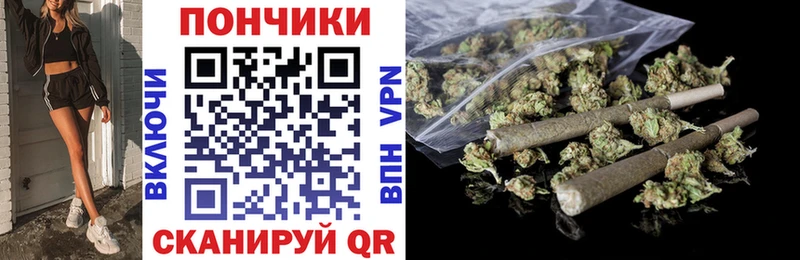 Каннабис сатива  Ардон 